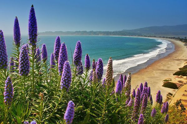 Beach-Coastal Marin Headlands-California-USA